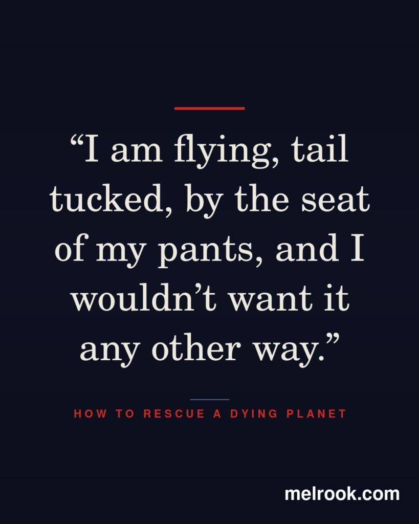 I am flying, tail tucked, by the seat of my pants, and I wouldn't want it any other way.